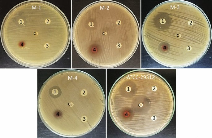 2005 MRSA-A Natural new Approach to Treating MRSA