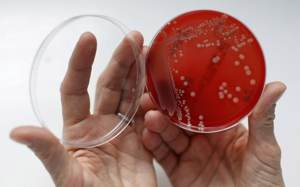 Garlic Cure for MRSA Superbug
