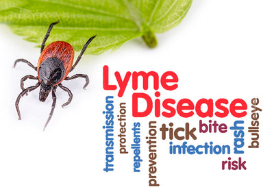 Spring Brings Ticks, Ticks Bring Lyme Disease
